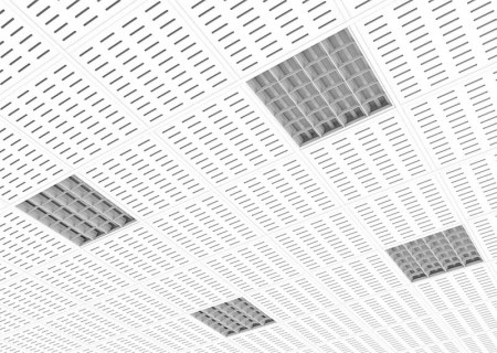 No hay imagen establecida 